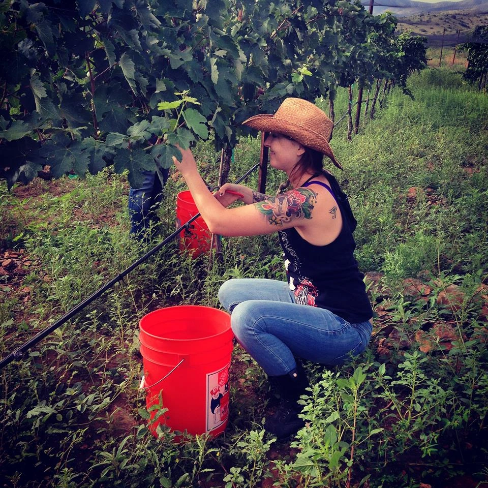 Grand Crew mission focused on supporting wine education and student success