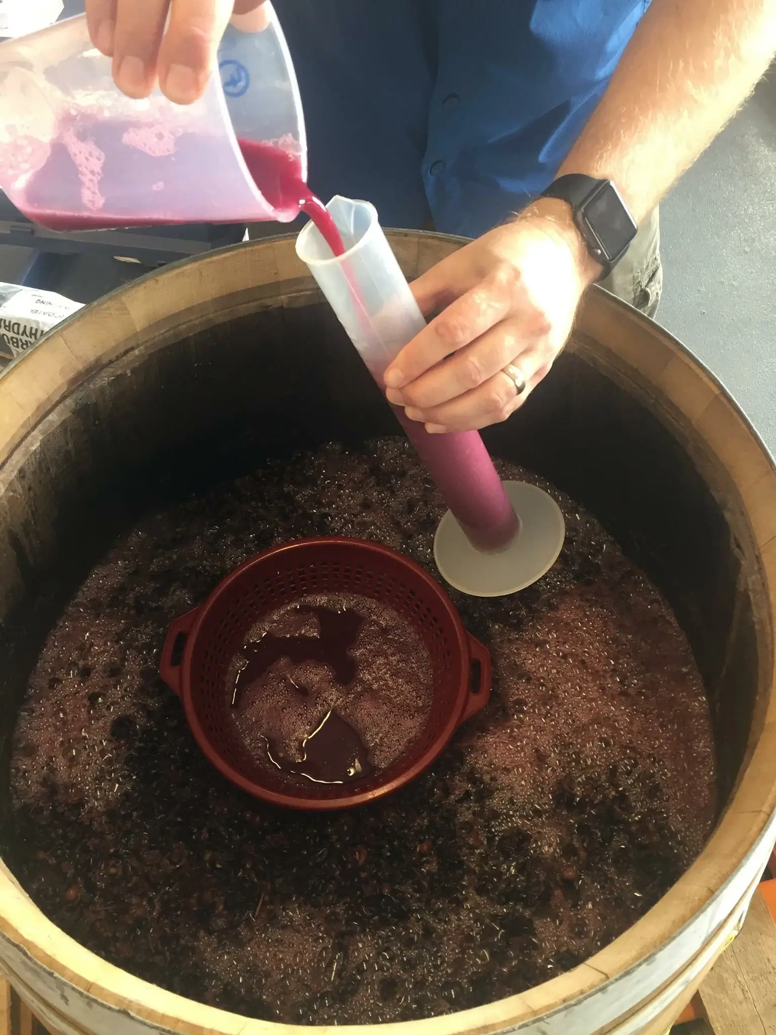 Students participating in hands-on wine fermentation training