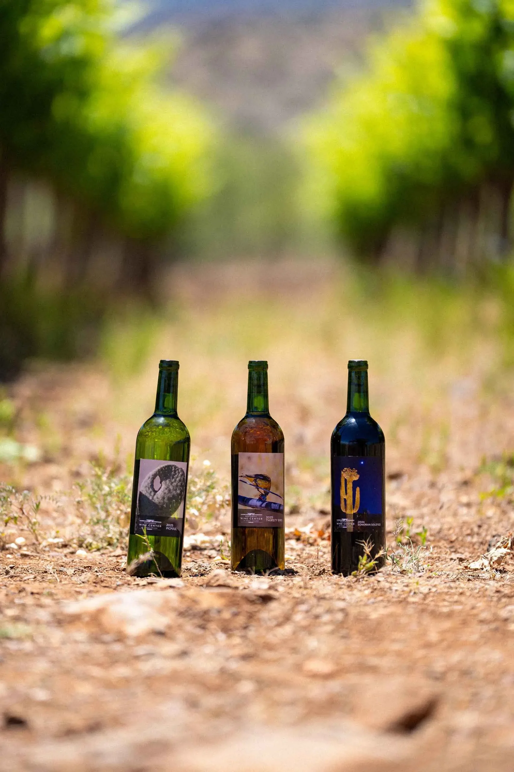 Three bottles of Southwest Wine Center wine displayed between vineyard rows in Arizona wine country Caption