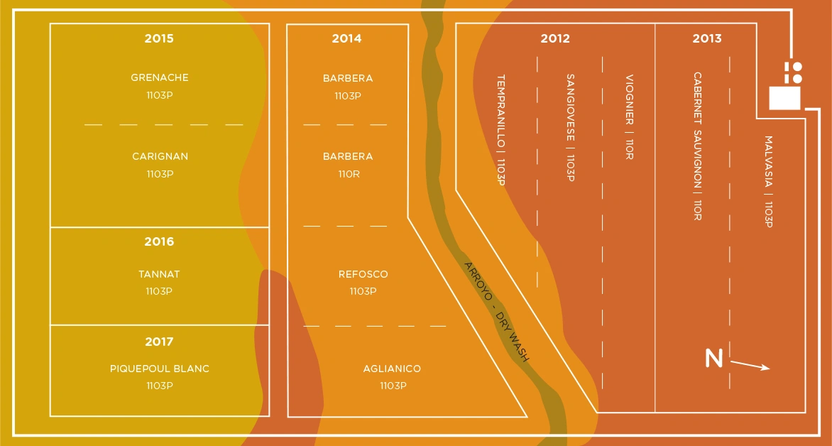 Soil composition map of the Southwest Wine Center estate vineyard