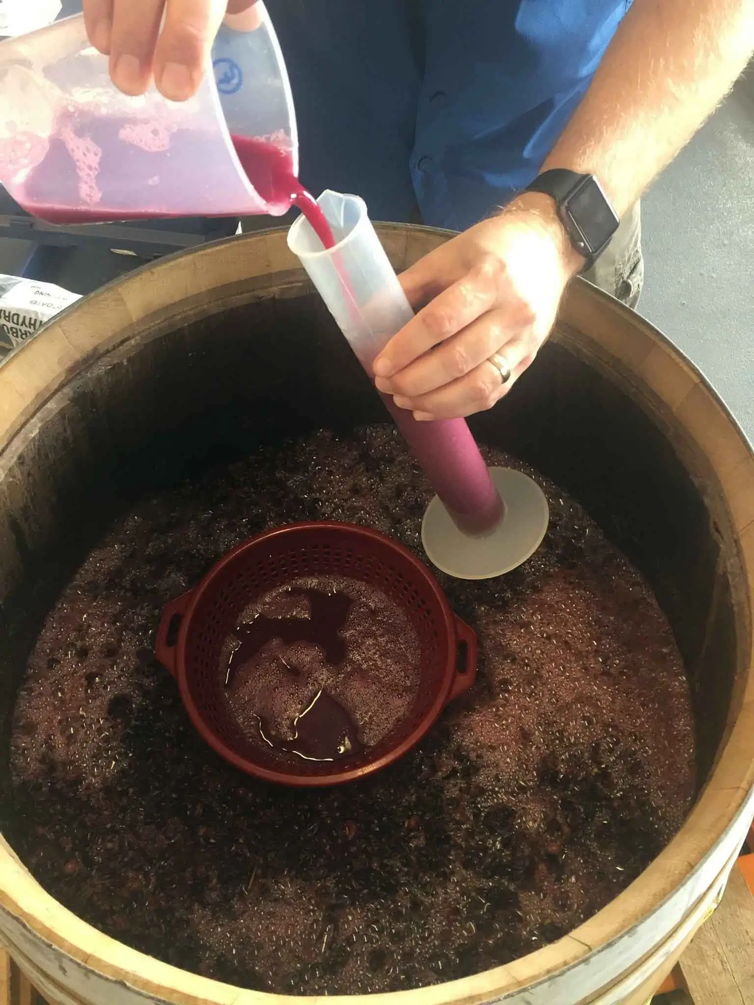 Wine Fermentation and Lab Analysis Student sampling fermenting wine during enology training at Southwest Wine Center
