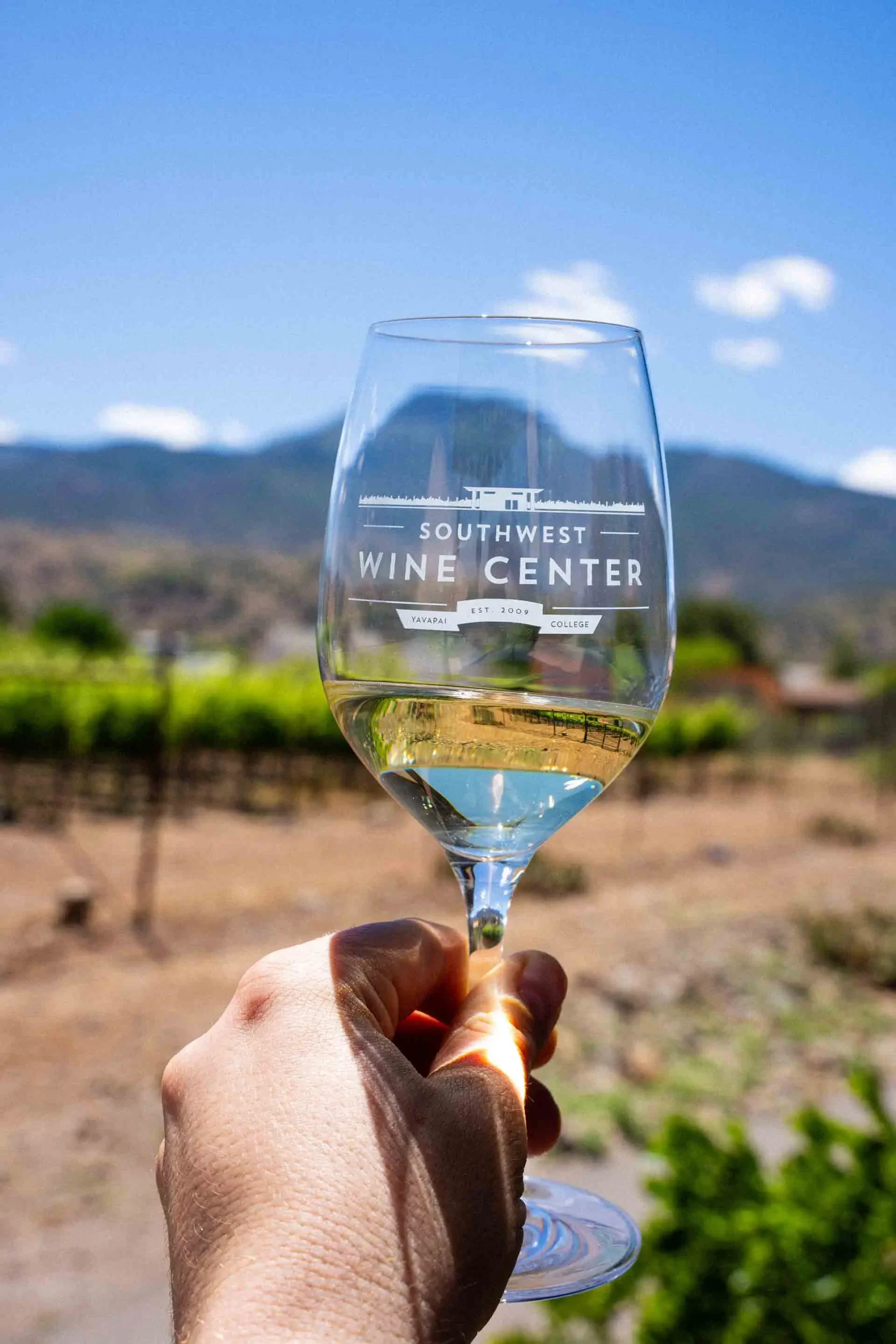 Glass of white wine held in front of Southwest Wine Center vineyard and mountain views